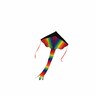 Rainbow Delta Kite with Tail