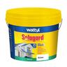 Exterior Water Based Paint
