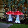 Solar Magical Mushroom Light 15 x 19cm White