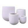 Tall Tulip Pot Large White
