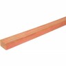 Radiata SG8 H1.2 Timber 75 x 50mm