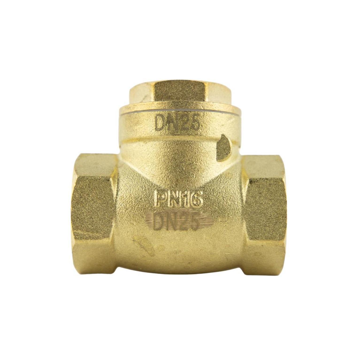 Check Valve
