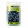 Treated Pine Screws 10g x 50mm Pack of 100 Galvanised