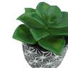Artificial Succulent Plant in Pot