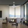 Ceiling Fan With Light