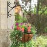 Hanging Basket
