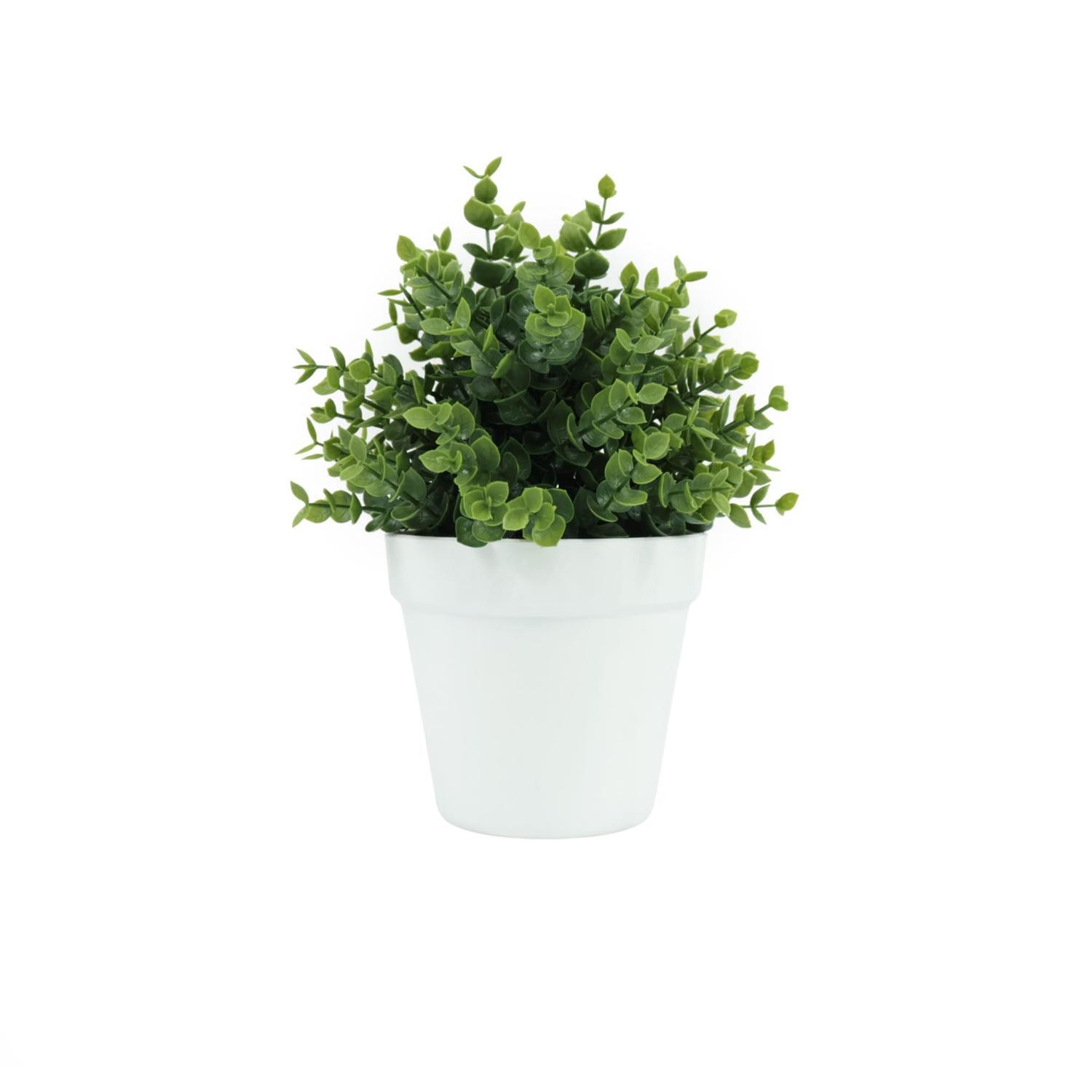 Artificial Eucalyptus Plant in Pot 12.5cm