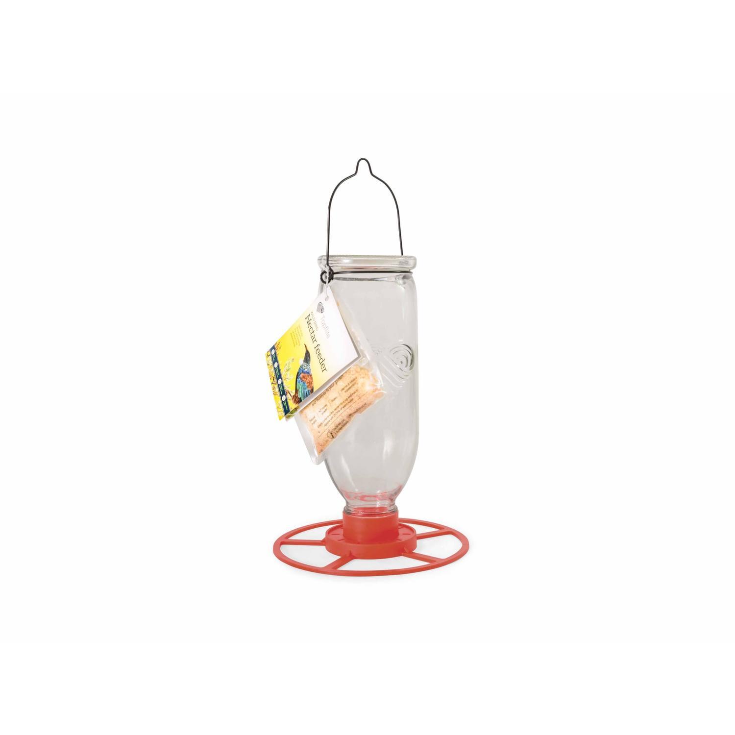 Wild Bird Nectar Feeder