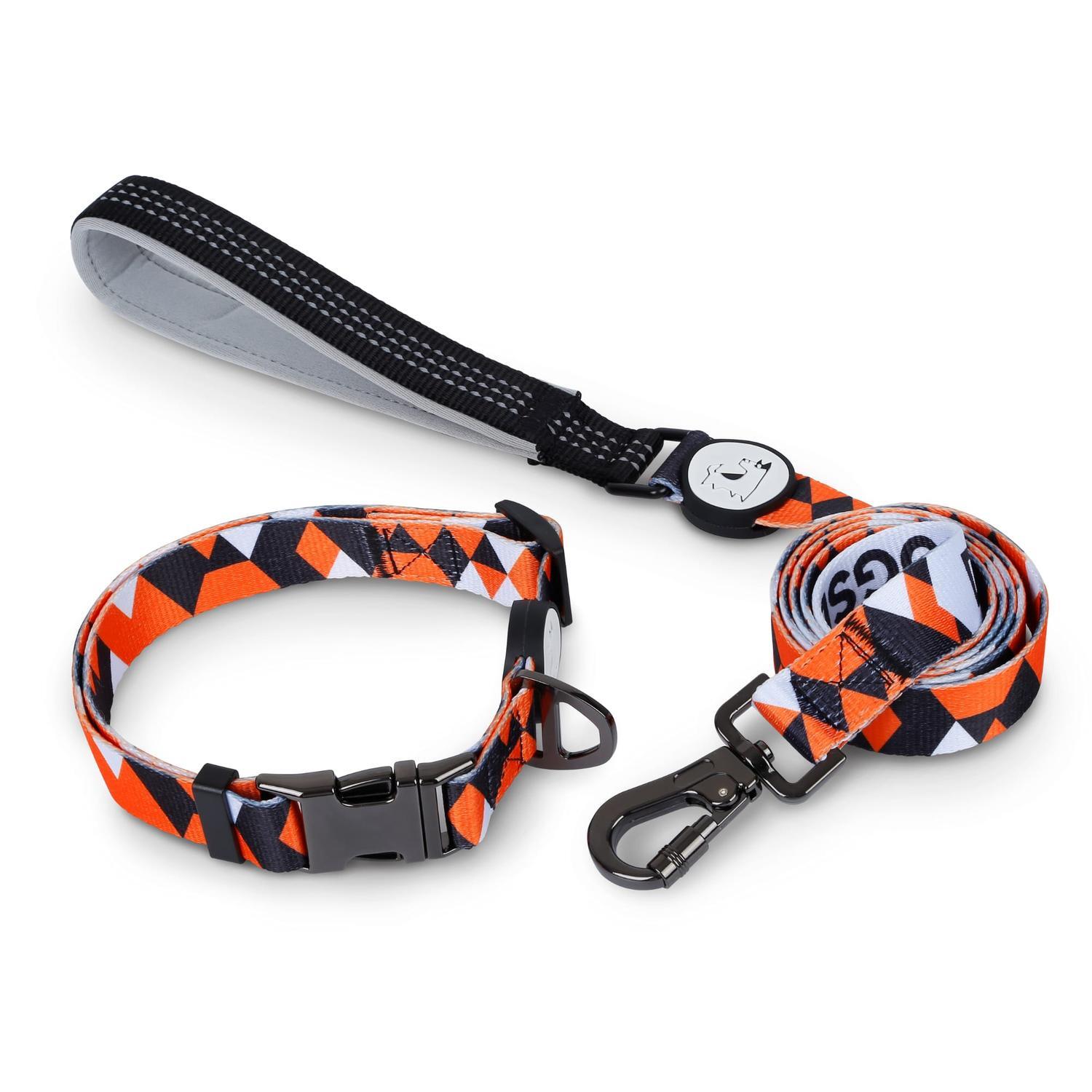 Dog Collar& Leash
