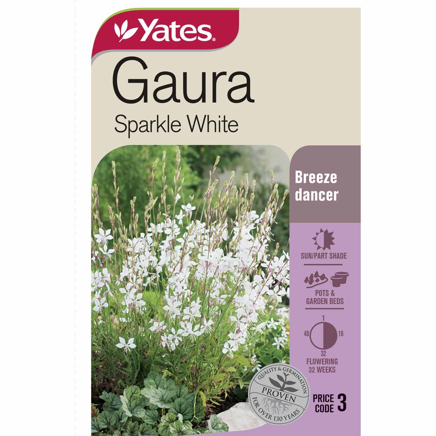 Gaura Sparkle White