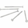 Paling Nails 60 x 3.06mm 2kg Galvanised