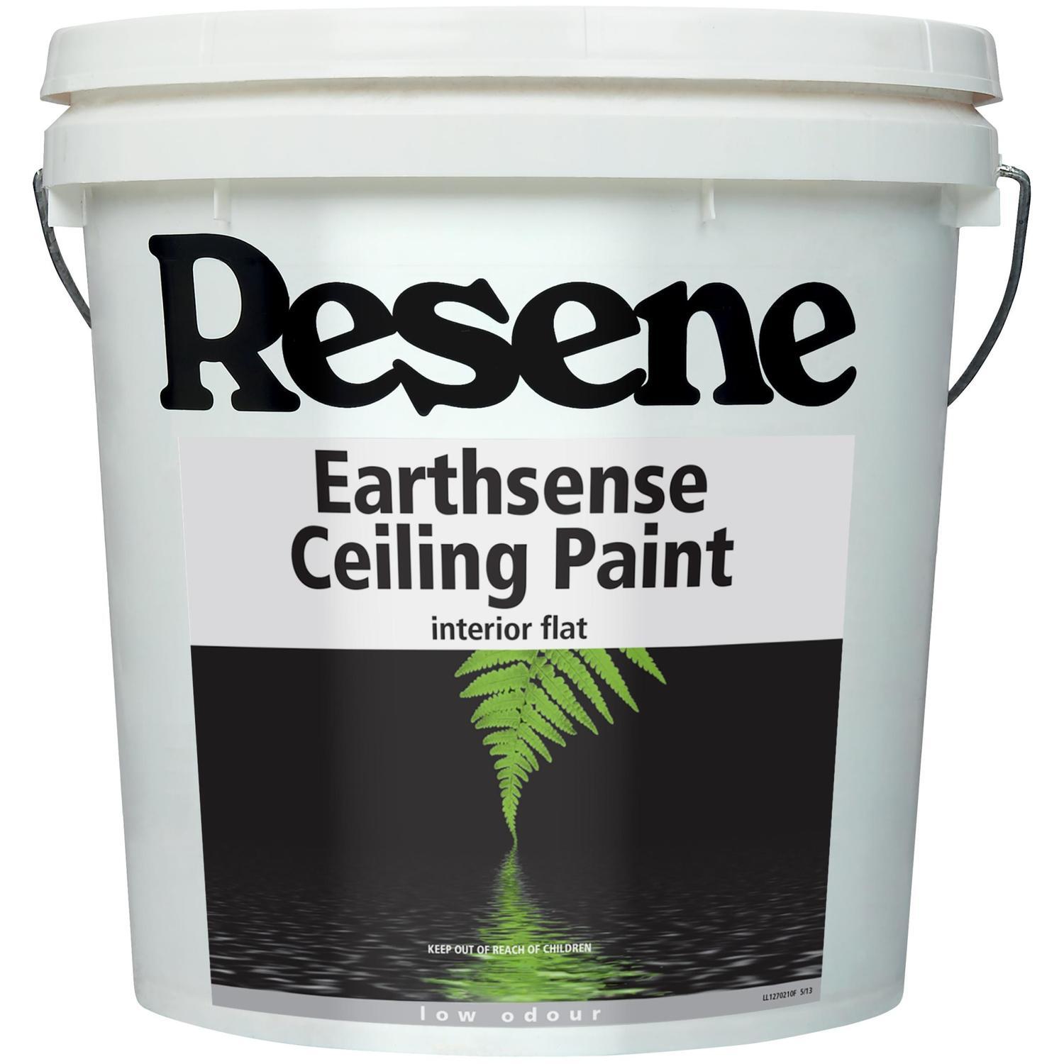 Ceiling paint
