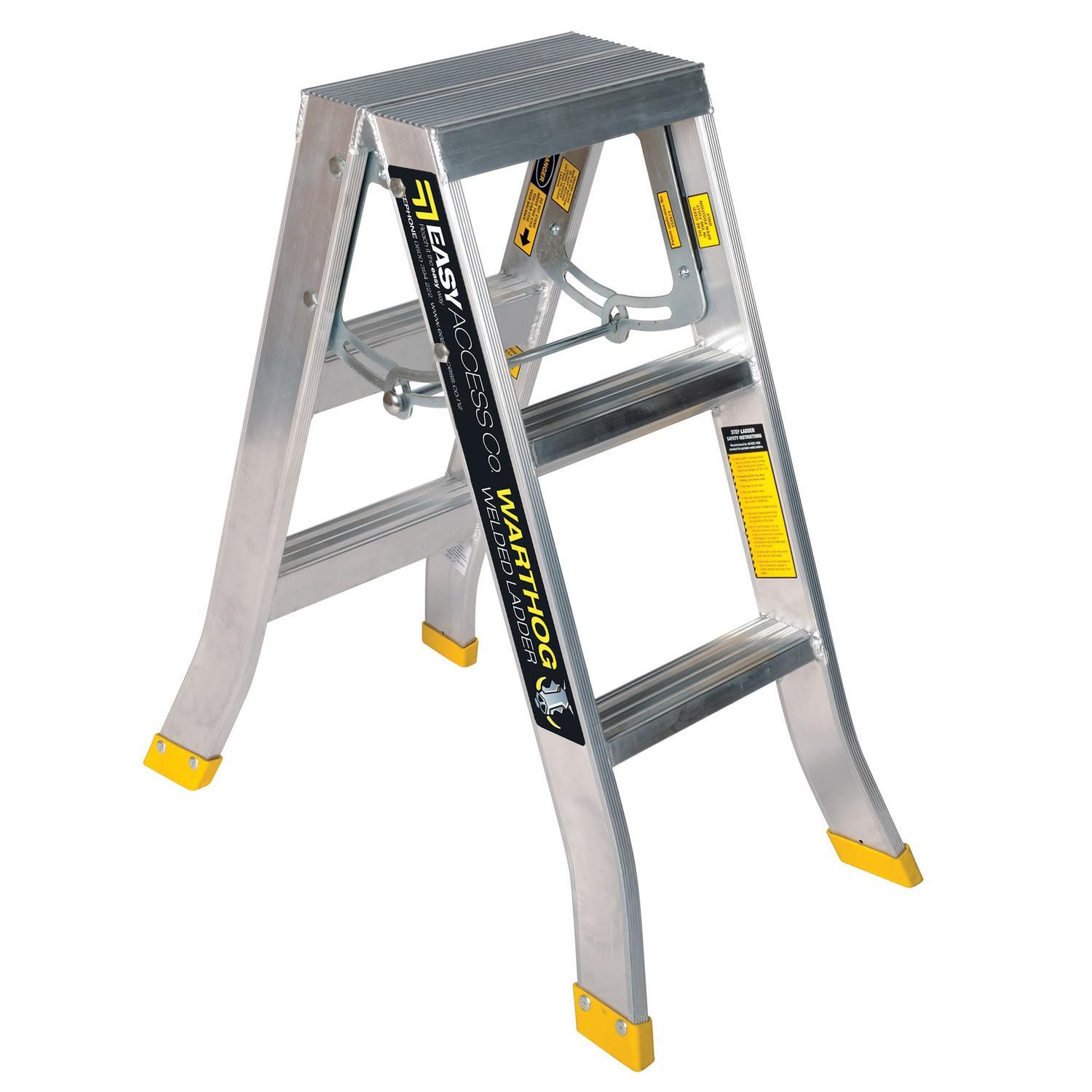 Double Sided Ladder