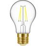 LED Classic GLS Filament