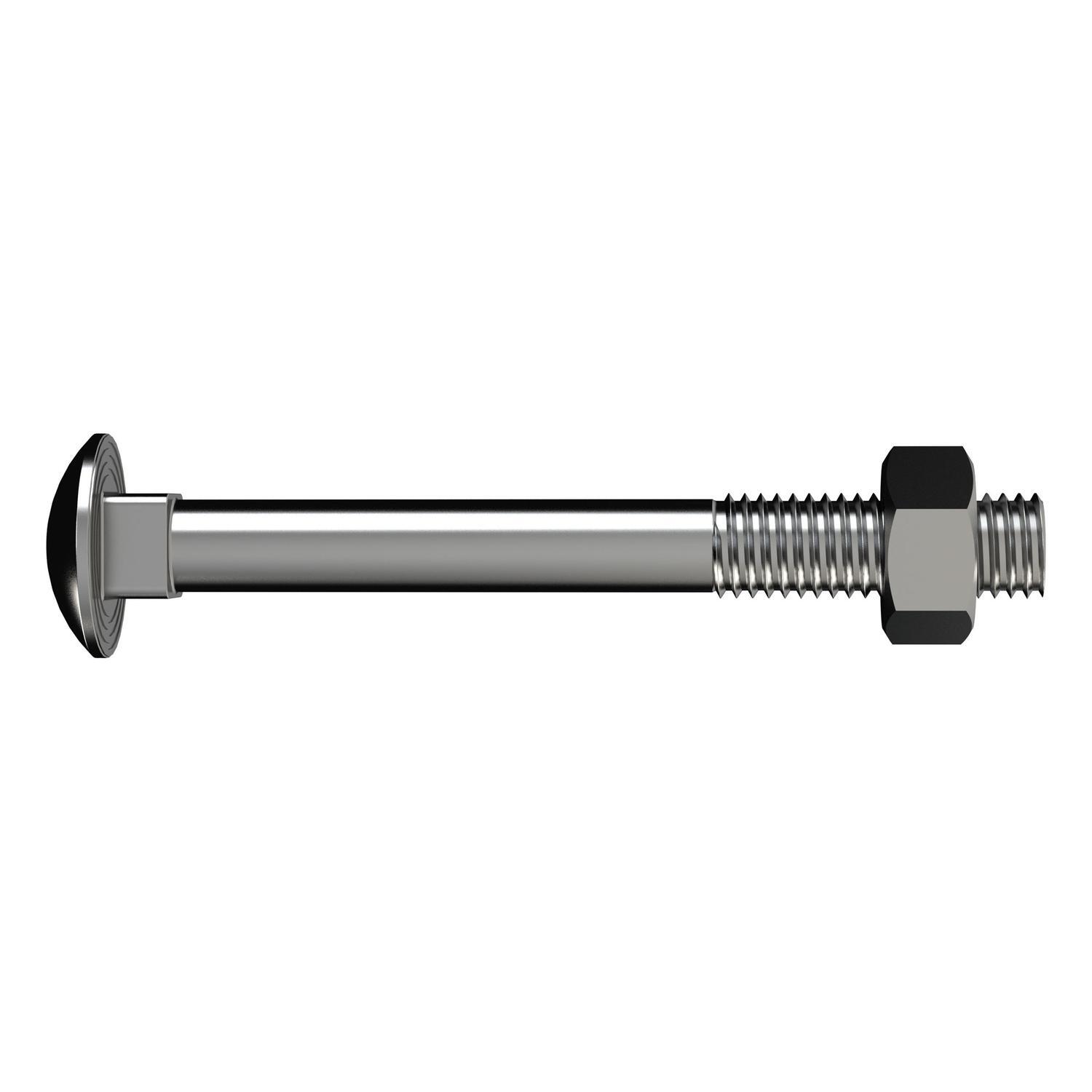 Coach Bolt & Nut