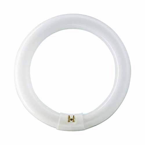 Light bulb Cool White