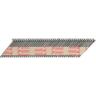 Collated Nails  Value Pack with Fuel Cells