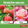 Lime Sulfur Fungicide