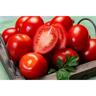 Tomato Roma Acid Free