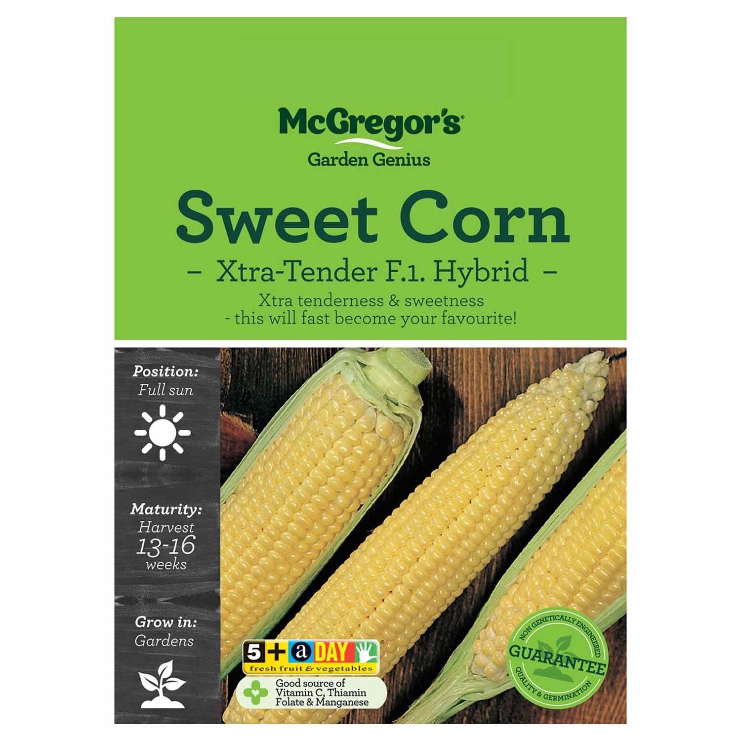 Xtra Tender Sweet Corn  Vegetable Seed