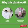 Orchid Plant Fertiliser Dripper