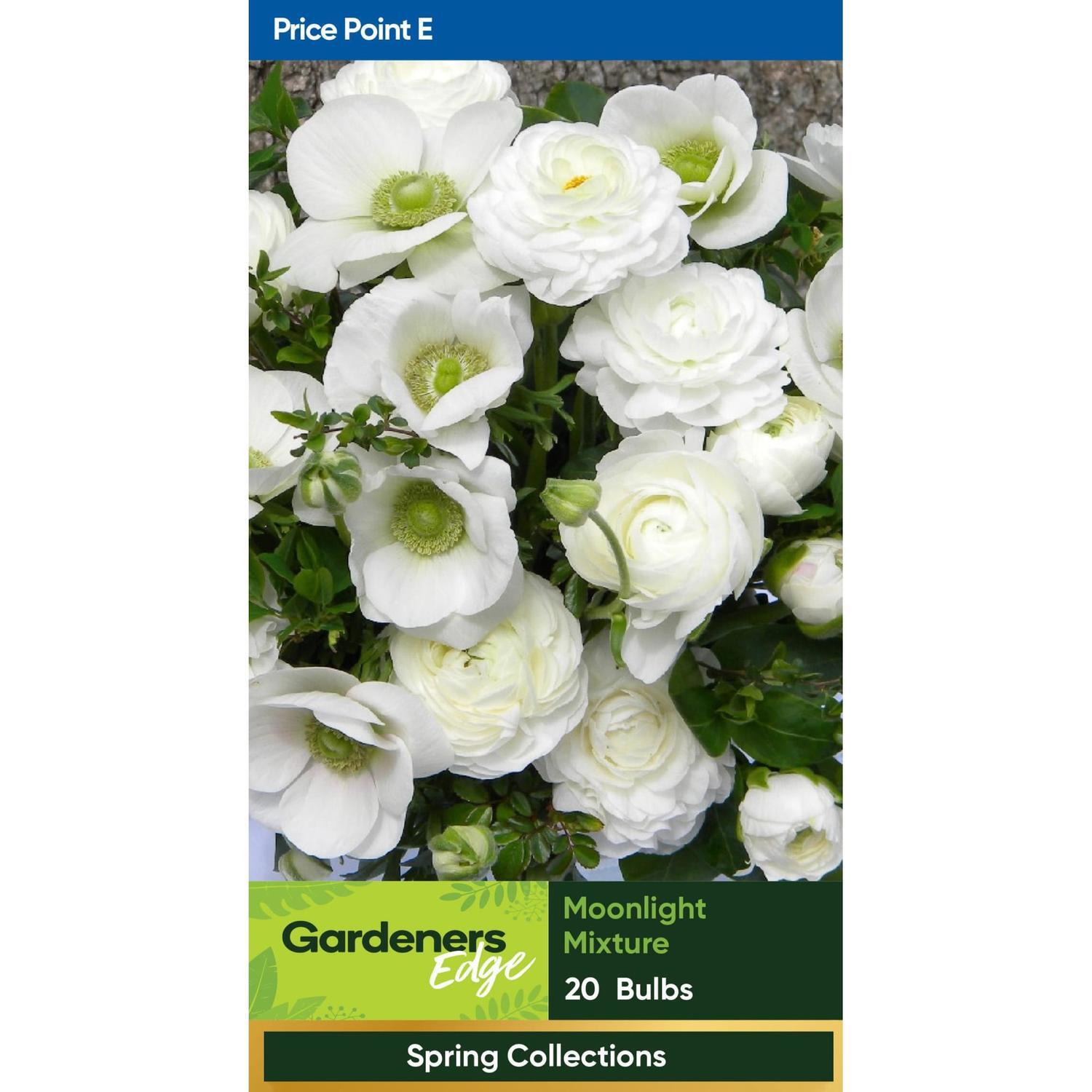Spring Collection Moonlight Mix 20 Pack