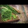 Chives Common