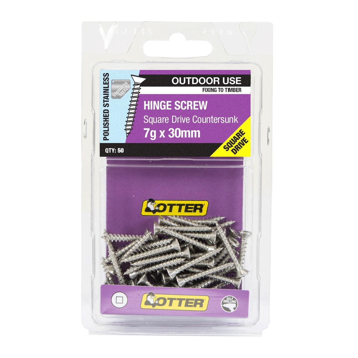 Hinge Screws