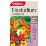 Flower Seed Nasturtium 'Jewel' Mixed