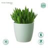 Recycled Plastic Elm Pot 11cm Foam Green  Sea Foam Green