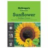 Golden Crown Sunflower  Flower Seed