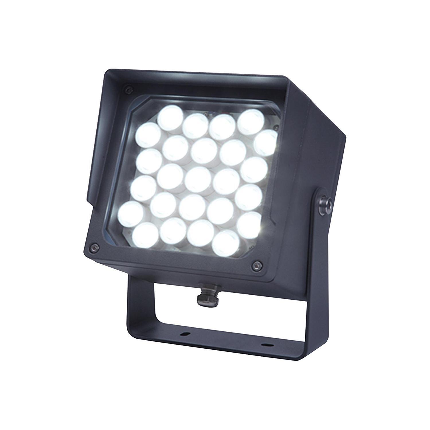 Landscape Stage Light