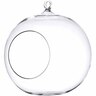 Glass Ball Terrarium