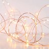 Copper Seed LED String Light