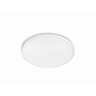 Twirly Ceiling Oyster