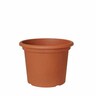 Geo Pot