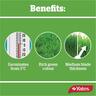 Yates Lawn Seed Sow Anytime 1kg
