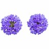 Verbena Royale Chambray