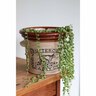 String of Pearls Indoor Basket