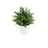 Artificial Eucalyptus Plant in Pot 11cm