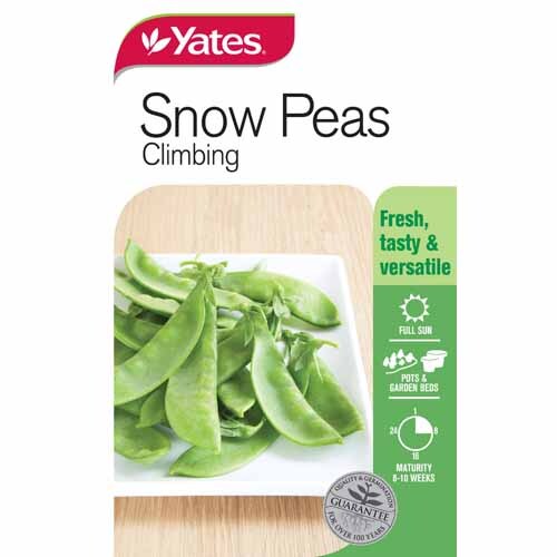 Peas Snow Peas Climbing
