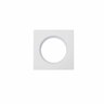 LED Downlight