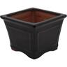 Bonsai Pot