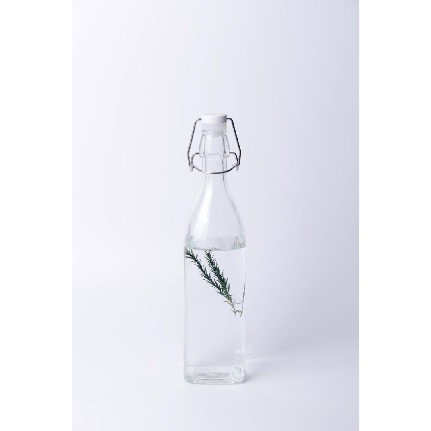Preserving Bottle Swing Clip 900ml