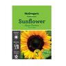 Giant Sunflower  Flower Seed