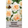 Daffodil Double 'Delnashaugh'