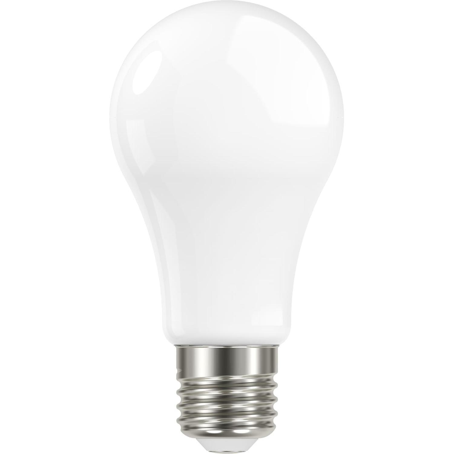 LED Classic Opal Glass GLS