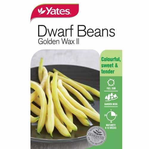 Beans Golden Wax Dwarf Variety