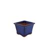 Bonsai Pot