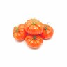 Grafted Tomato Big Beef